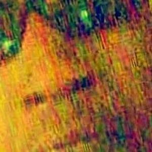 Meet your Posher, Rodney